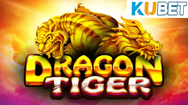 Rồng Hổ Kubet - Học Kinh Nghiệm Quý Báu Từ Những Tay Chơi 2 Chiến lược đặt cược trong Rồng hổ Kubet