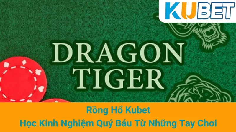 Rồng Hổ Kubet - Học Kinh Nghiệm Quý Báu Từ Những Tay Chơi 1 Rồng Hổ Kubet - Học Kinh Nghiệm Quý Báu Từ Những Tay Chơi